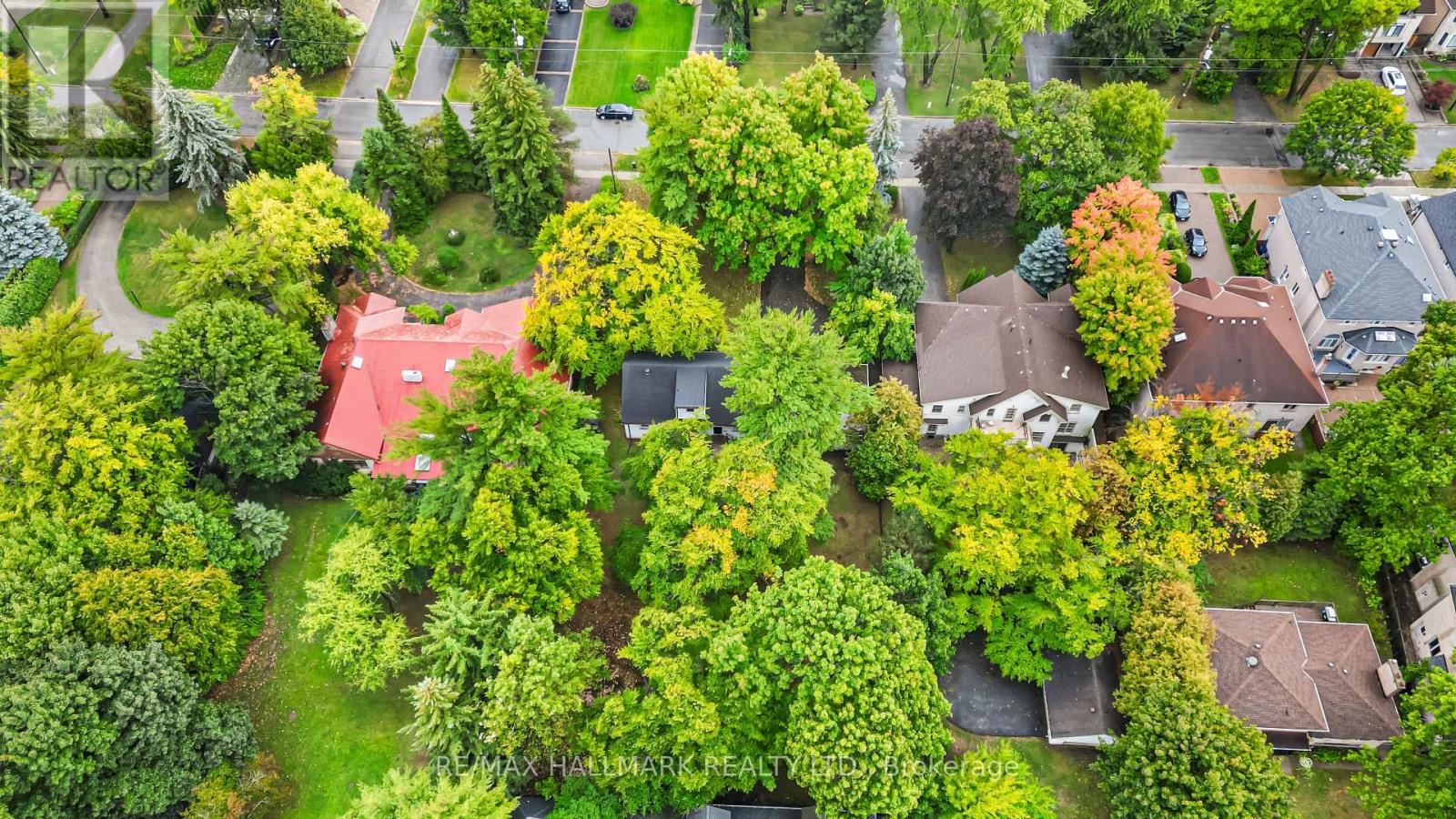 344 Spring Garden Avenue, Toronto, Ontario  M2N 3H5 - Photo 43 - C12495564