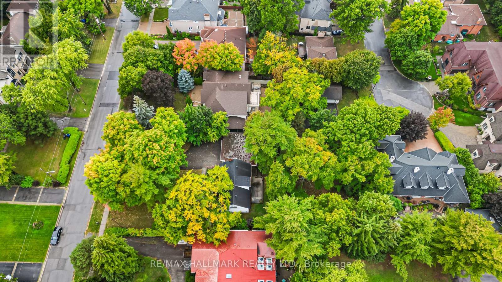 344 Spring Garden Avenue, Toronto, Ontario  M2N 3H5 - Photo 44 - C12495564