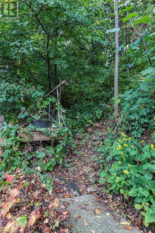 210 Charlton Avenue E, Hamilton, Ontario  L8N 1Z1 - Photo 38 - X12495662