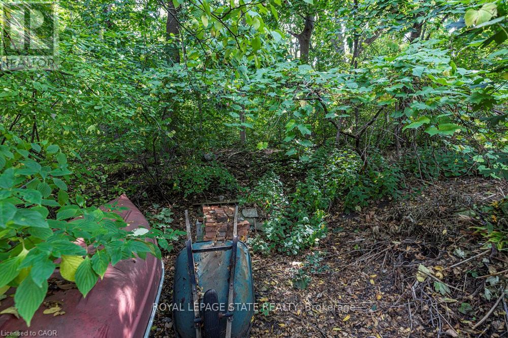 210 Charlton Avenue E, Hamilton, Ontario  L8N 1Z1 - Photo 39 - X12495662