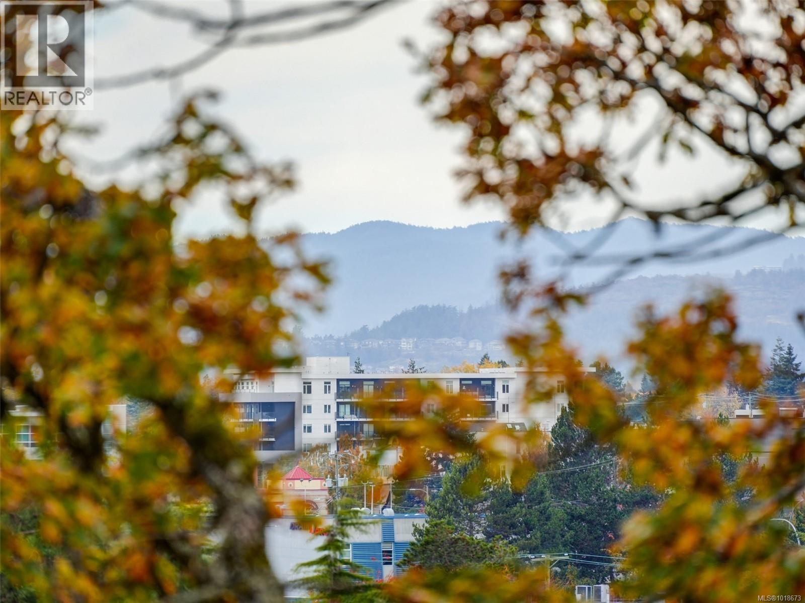 413 3277 Glasgow Ave, Saanich, British Columbia  V8X 1M3 - Photo 17 - 1018673