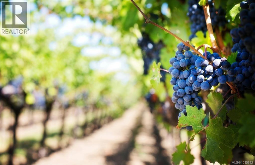 7072 Central Saanich Rd, Central Saanich, British Columbia  V8M 1Y3 - Photo 42 - 1015612