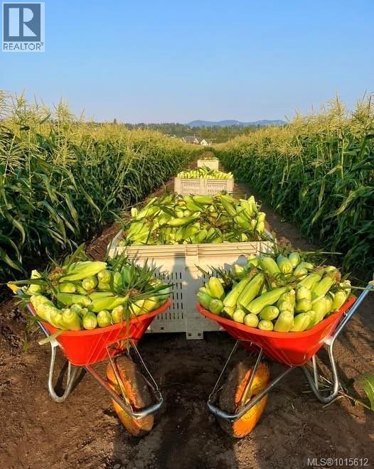 7072 Central Saanich Rd, Central Saanich, British Columbia  V8M 1Y3 - Photo 39 - 1015612