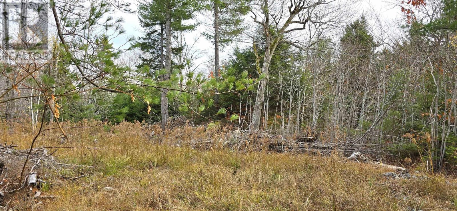 Lot 24 Russells Cove Road, Parkdale, Nova Scotia  B0R 1A0 - Photo 10 - 202526992