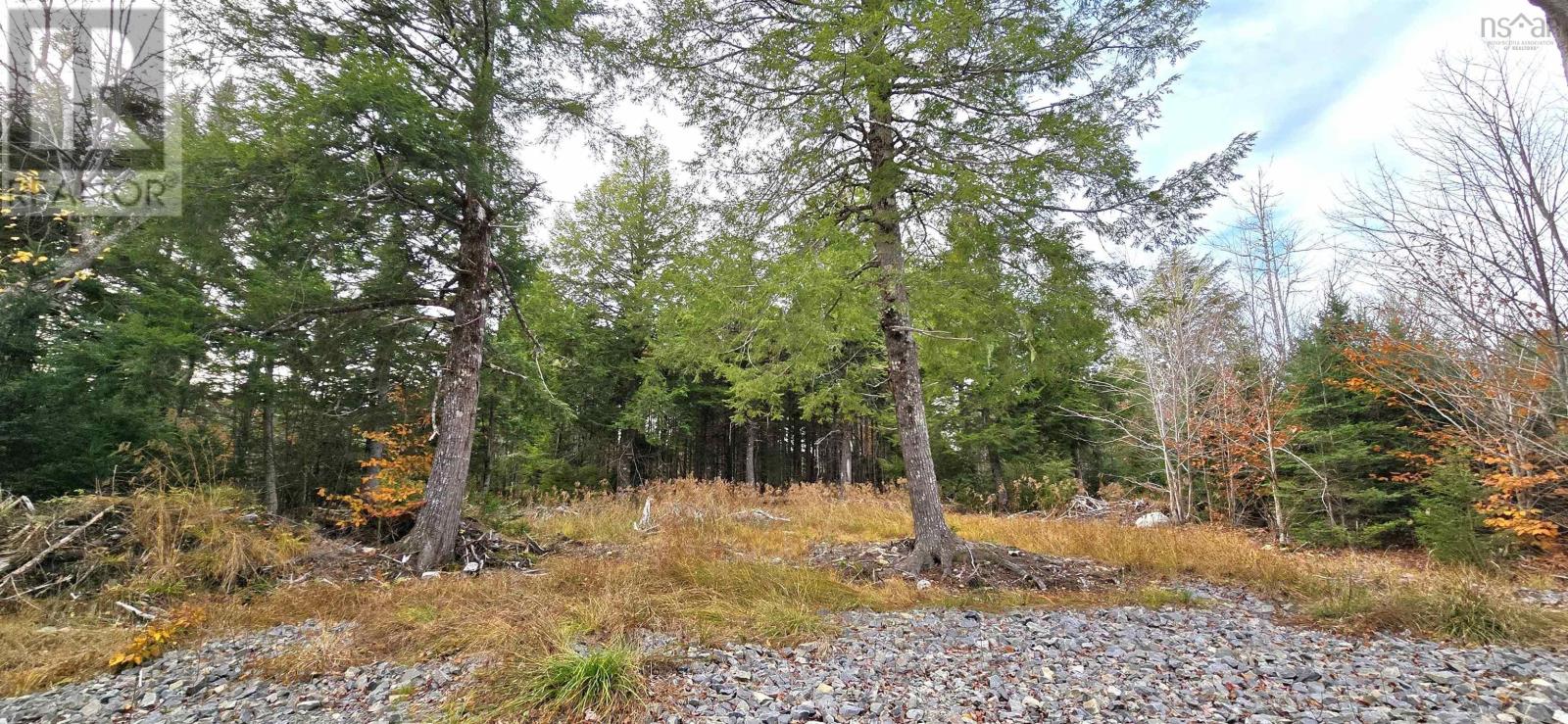 Lot 24 Russells Cove Road, Parkdale, Nova Scotia  B0R 1A0 - Photo 5 - 202526992