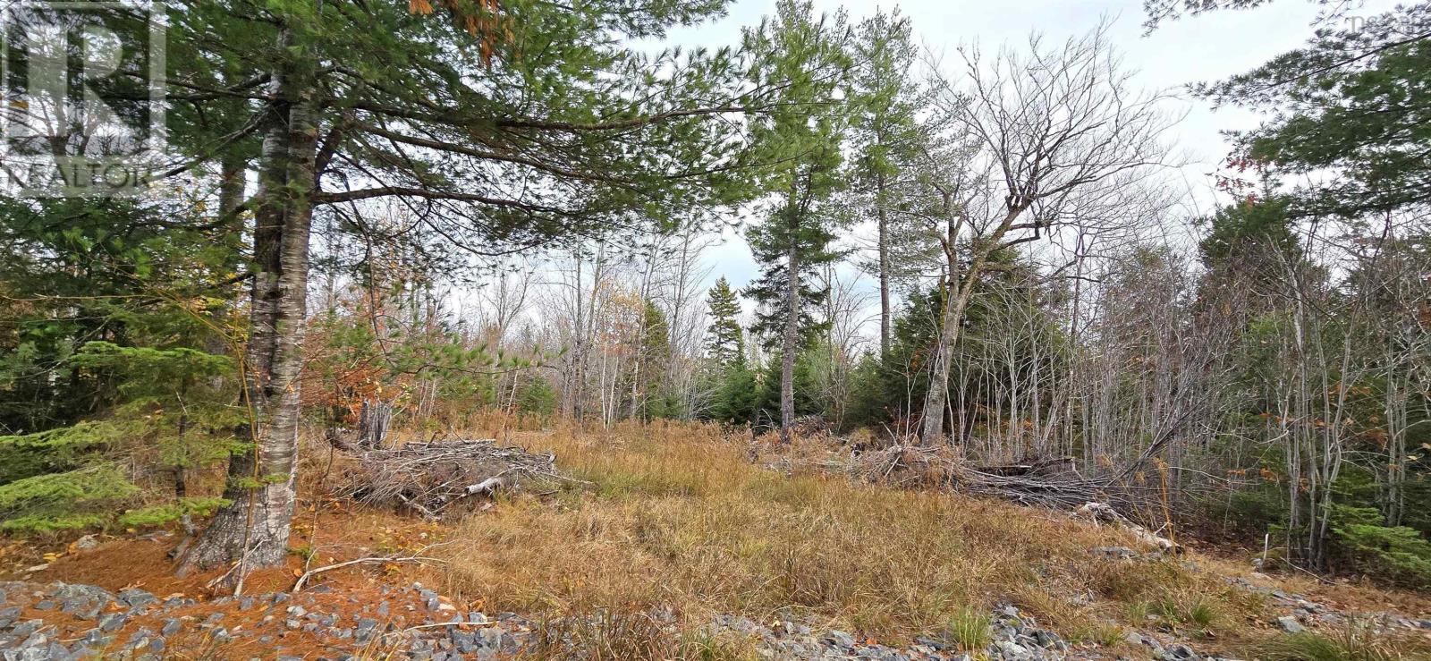 Lot 24 Russells Cove Road, Parkdale, Nova Scotia  B0R 1A0 - Photo 9 - 202526992