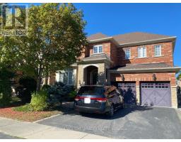 BSMT - 30 RICHGROVE DRIVE, Brampton, Ontario