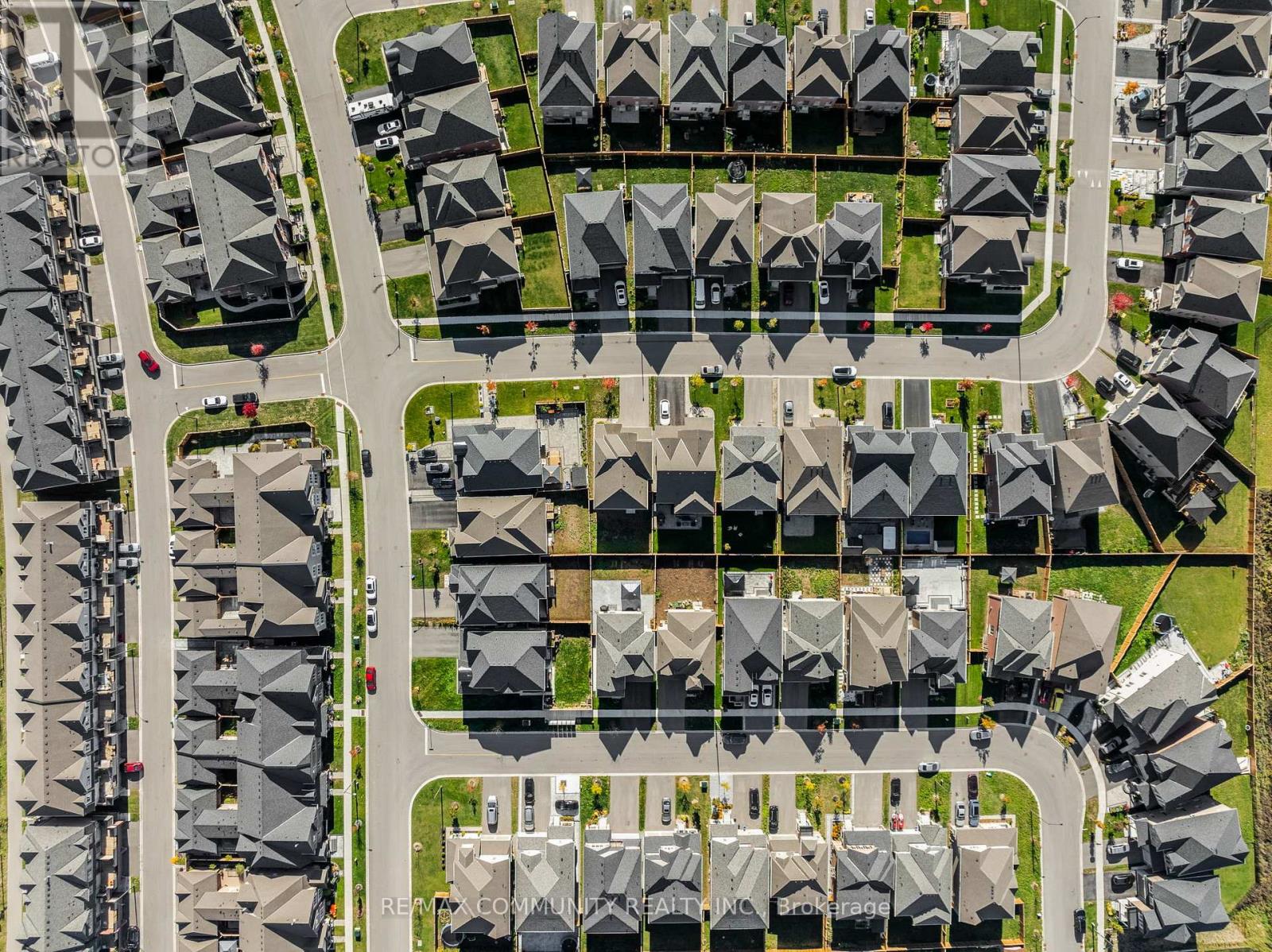 169 Auckland Drive, Whitby, Ontario  L1P 0J2 - Photo 49 - E12495862