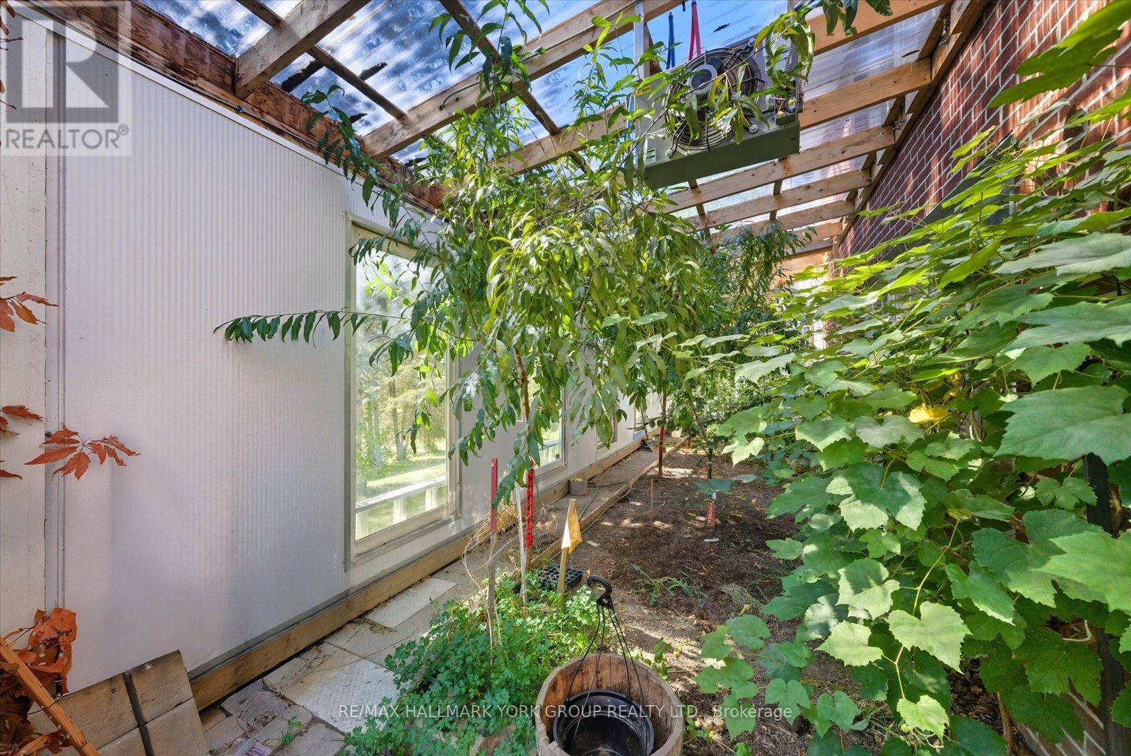 3815 King Road, King, Ontario  L7B 1K4 - Photo 45 - N12495972