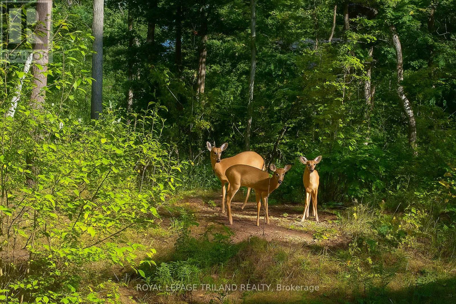 10092 Lakeshore Road, Lambton Shores (Grand Bend), Ontario  N0M 1T0 - Photo 50 - X12496120