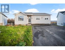 8 Doheney Place, St. John's, Newfoundland & Labrador
