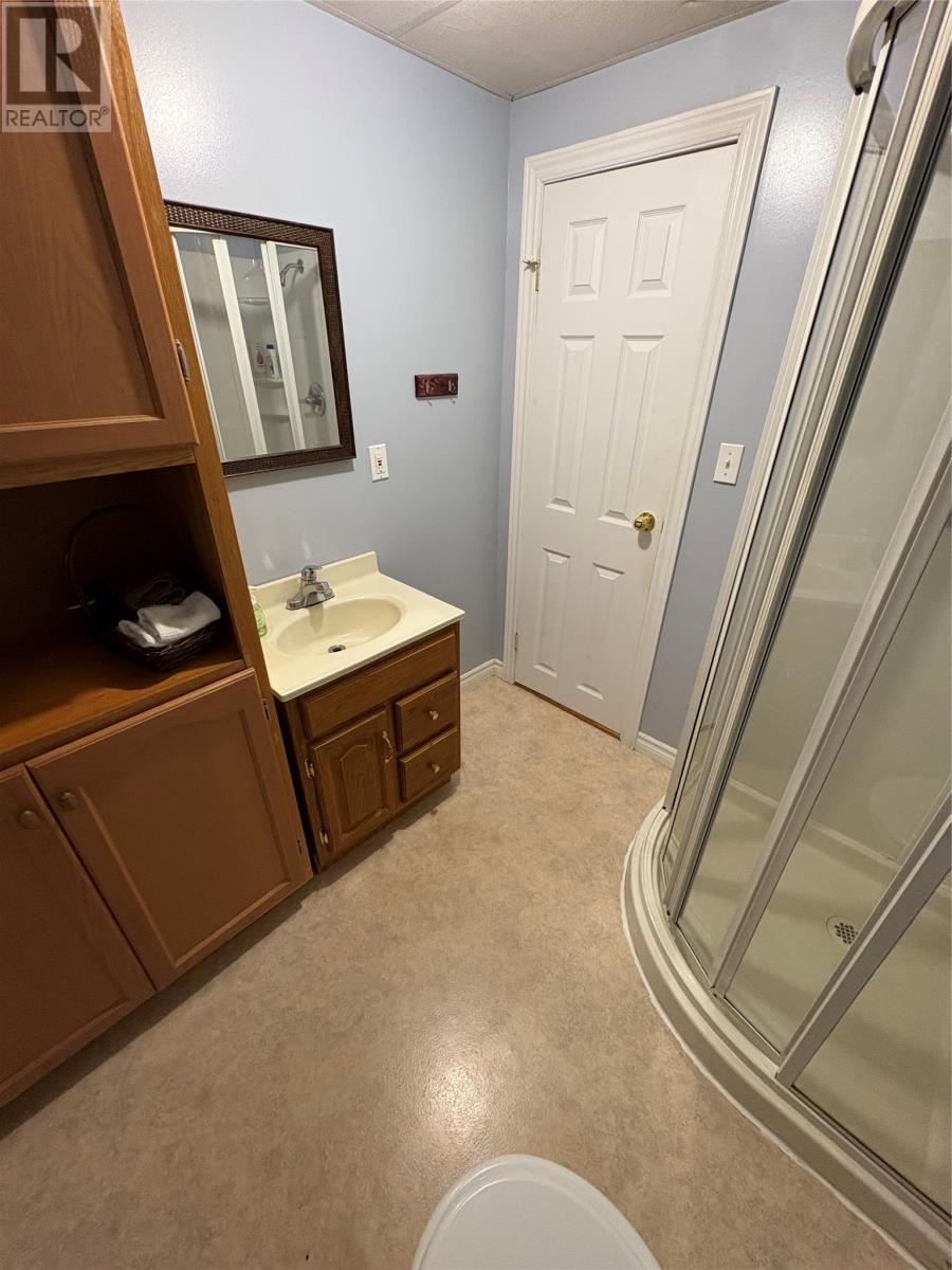 10 Louis Place, Grand Falls Windsor, Newfoundland & Labrador  A2A 0E1 - Photo 39 - 1292109