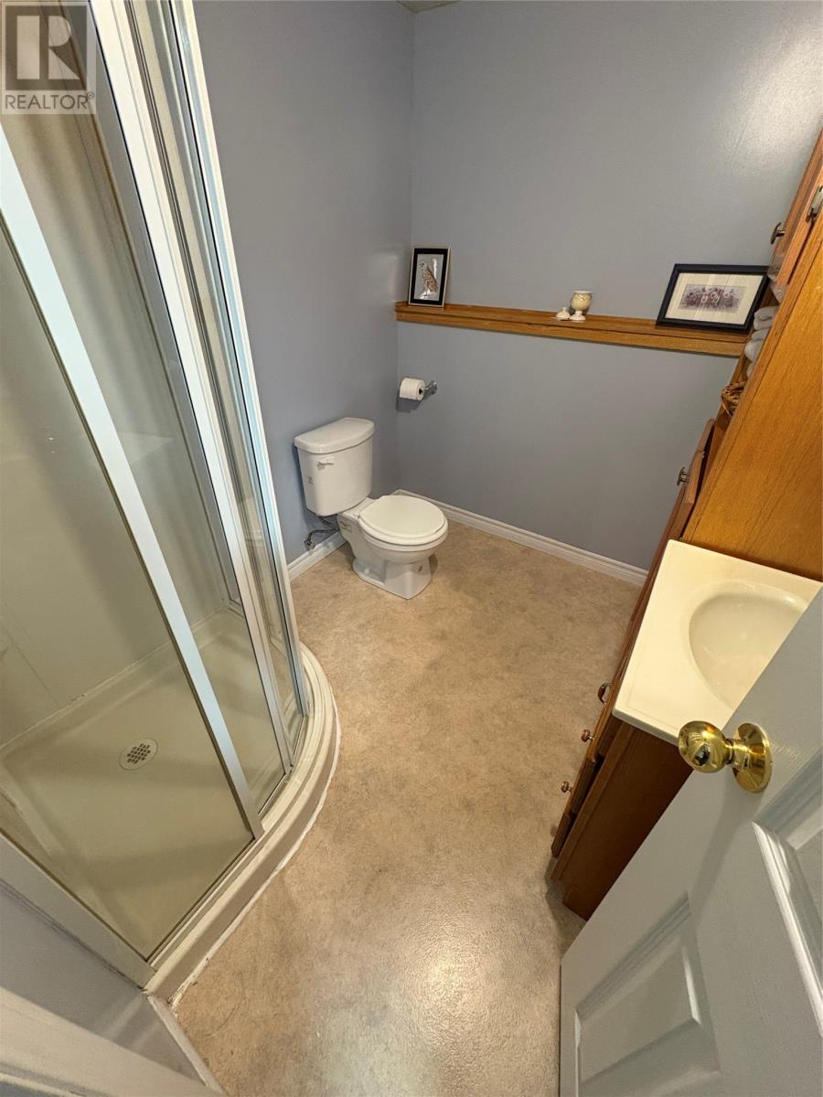 10 Louis Place, Grand Falls Windsor, Newfoundland & Labrador  A2A 0E1 - Photo 40 - 1292109