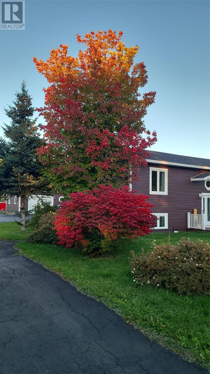 10 Louis Place, Grand Falls Windsor, Newfoundland & Labrador  A2A 0E1 - Photo 45 - 1292109