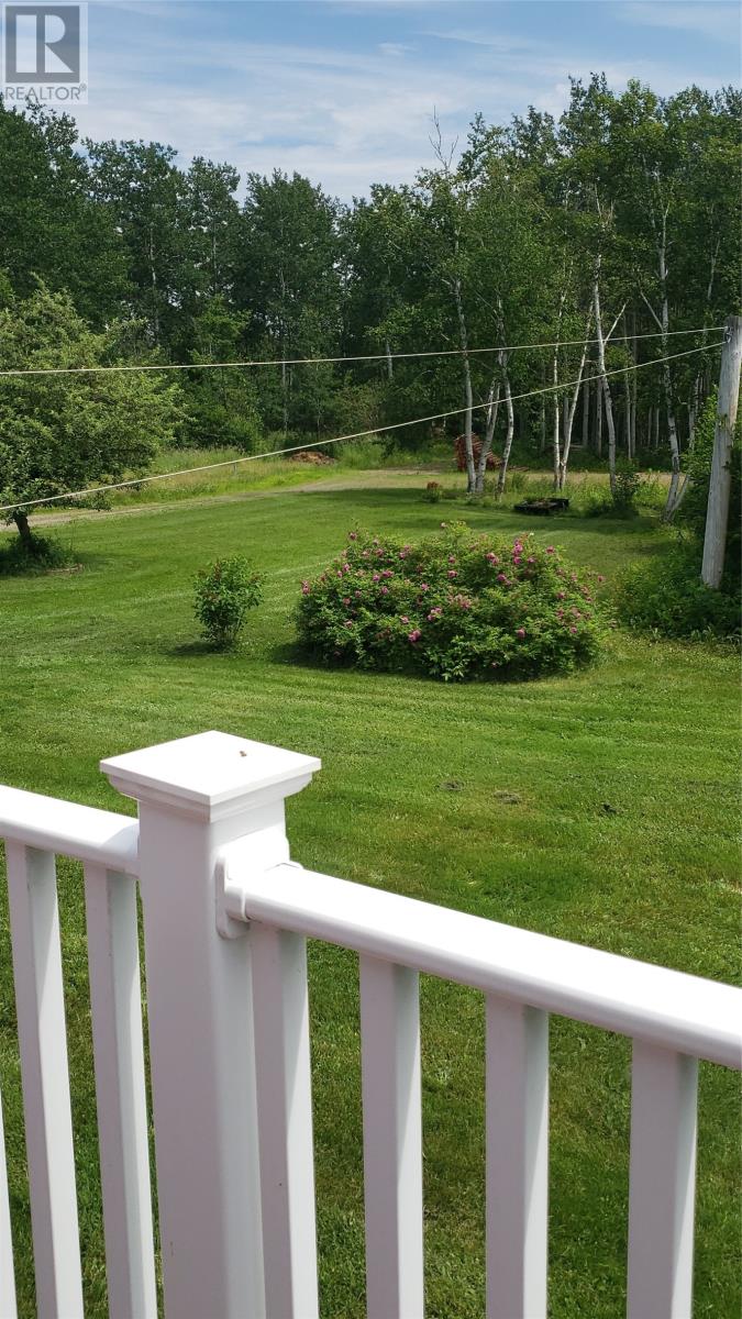 10 Louis Place, Grand Falls Windsor, Newfoundland & Labrador  A2A 0E1 - Photo 46 - 1292109