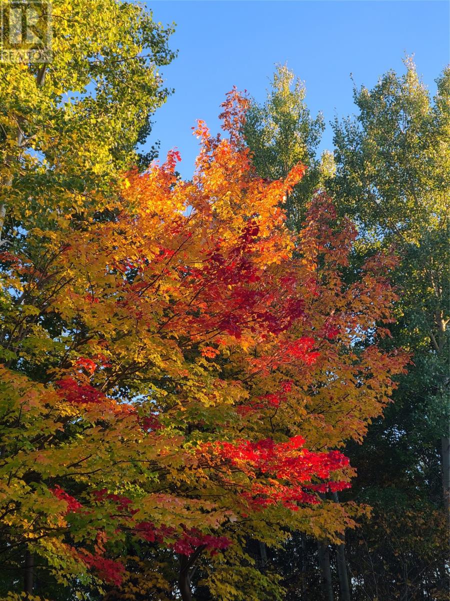 10 Louis Place, Grand Falls Windsor, Newfoundland & Labrador  A2A 0E1 - Photo 47 - 1292109