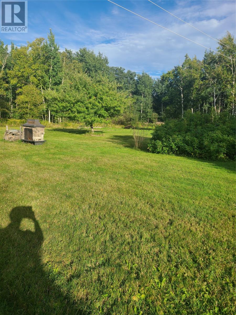 10 Louis Place, Grand Falls Windsor, Newfoundland & Labrador  A2A 0E1 - Photo 48 - 1292109