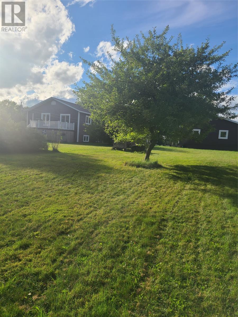 10 Louis Place, Grand Falls Windsor, Newfoundland & Labrador  A2A 0E1 - Photo 49 - 1292109