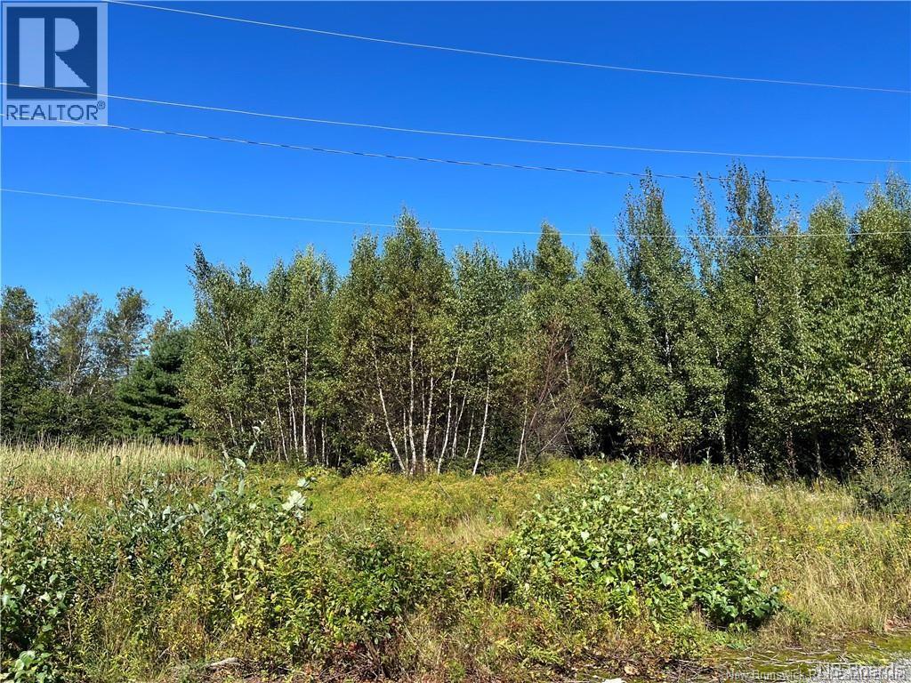 1 Acre Grattan Road, Tabusintac, New Brunswick  E9H 2B2 - Photo 2 - NB129473