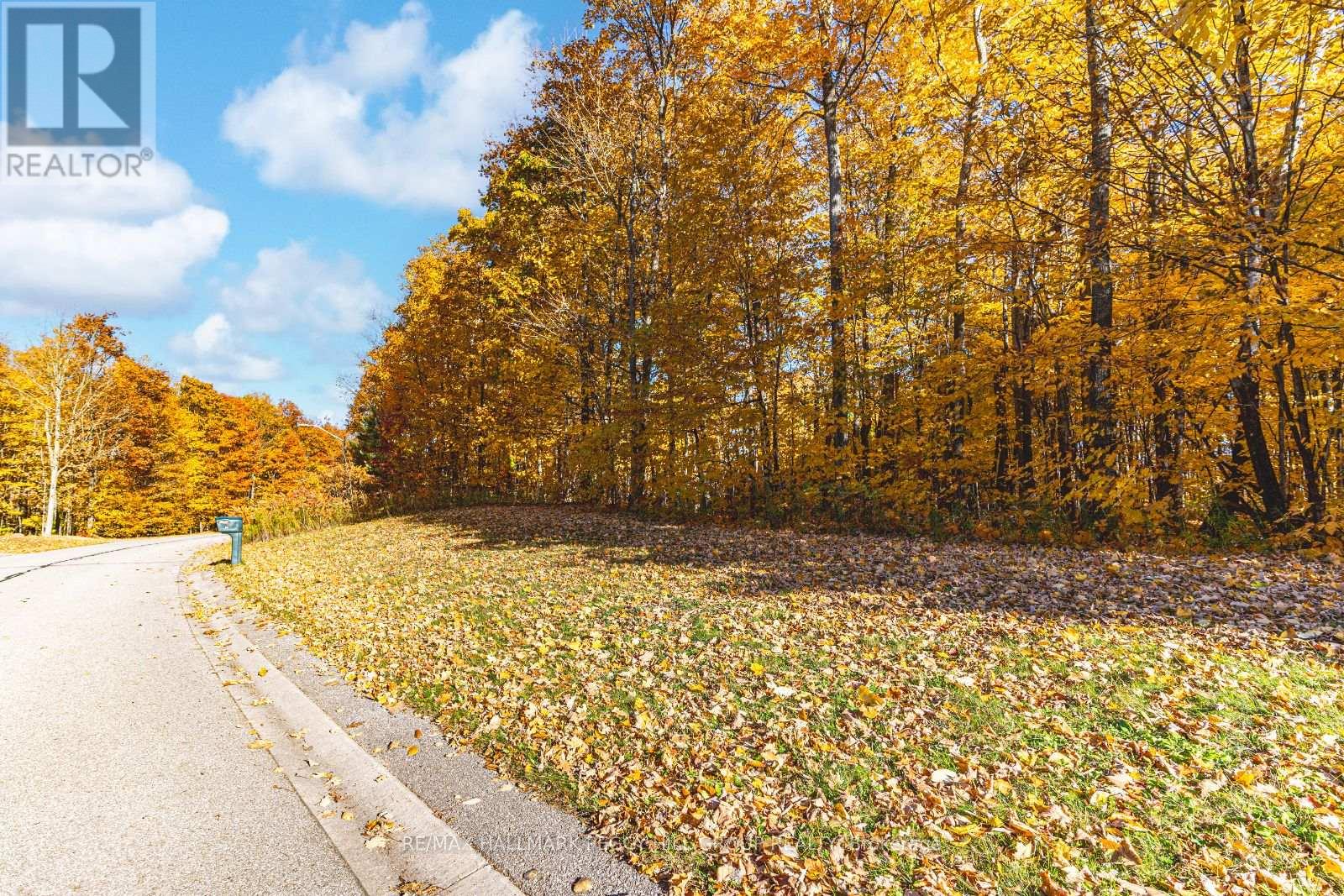 17 Maple Ridge Road, Oro-Medonte, Ontario  L0L 2L0 - Photo 4 - S12436788