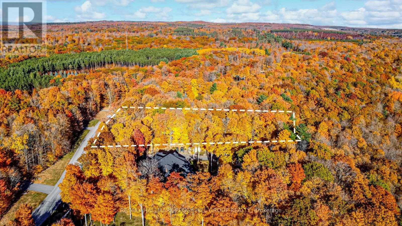 17 Maple Ridge Road, Oro-Medonte, Ontario  L0L 2L0 - Photo 5 - S12436788