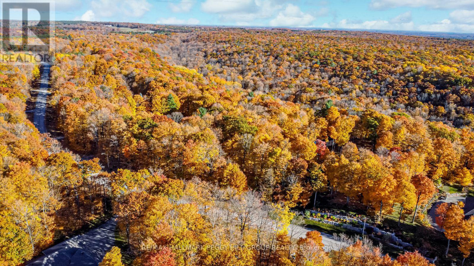 17 Maple Ridge Road, Oro-Medonte, Ontario  L0L 2L0 - Photo 7 - S12436788