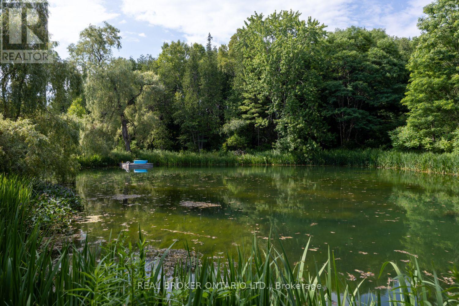 4204 Concession Road 8, Clarington, Ontario  L0B 1M0 - Photo 40 - E12279855