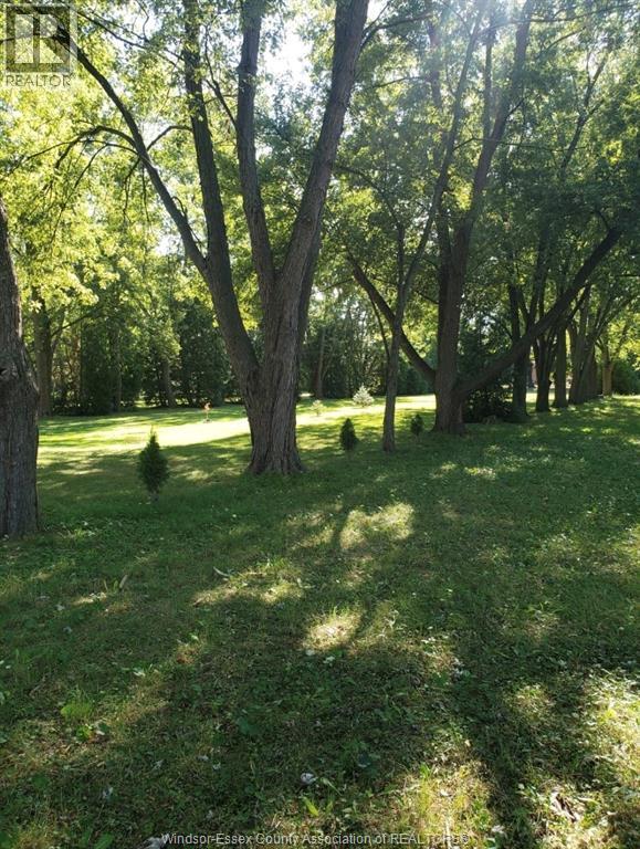 2063 St. Anne, Tecumseh, Ontario  N8N 1V8 - Photo 14 - 25027674