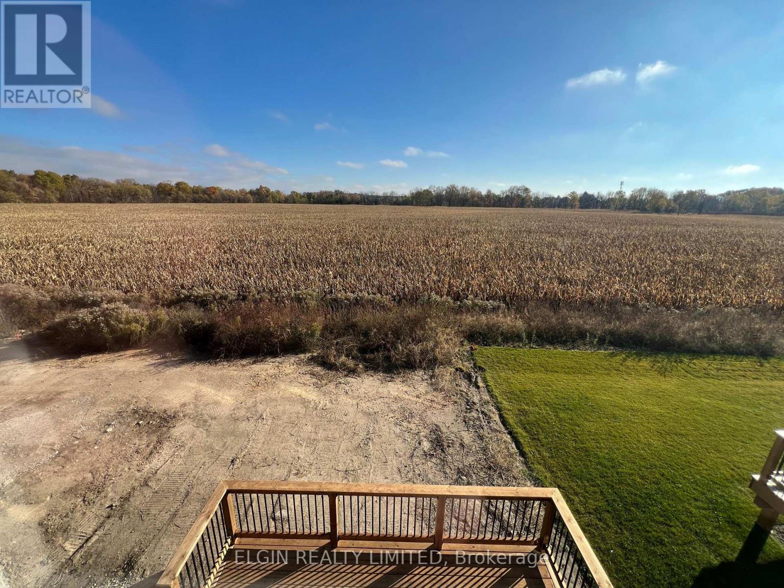 69 Braun Avenue, Tillsonburg, Ontario  N4G 0K4 - Photo 2 - X12480853