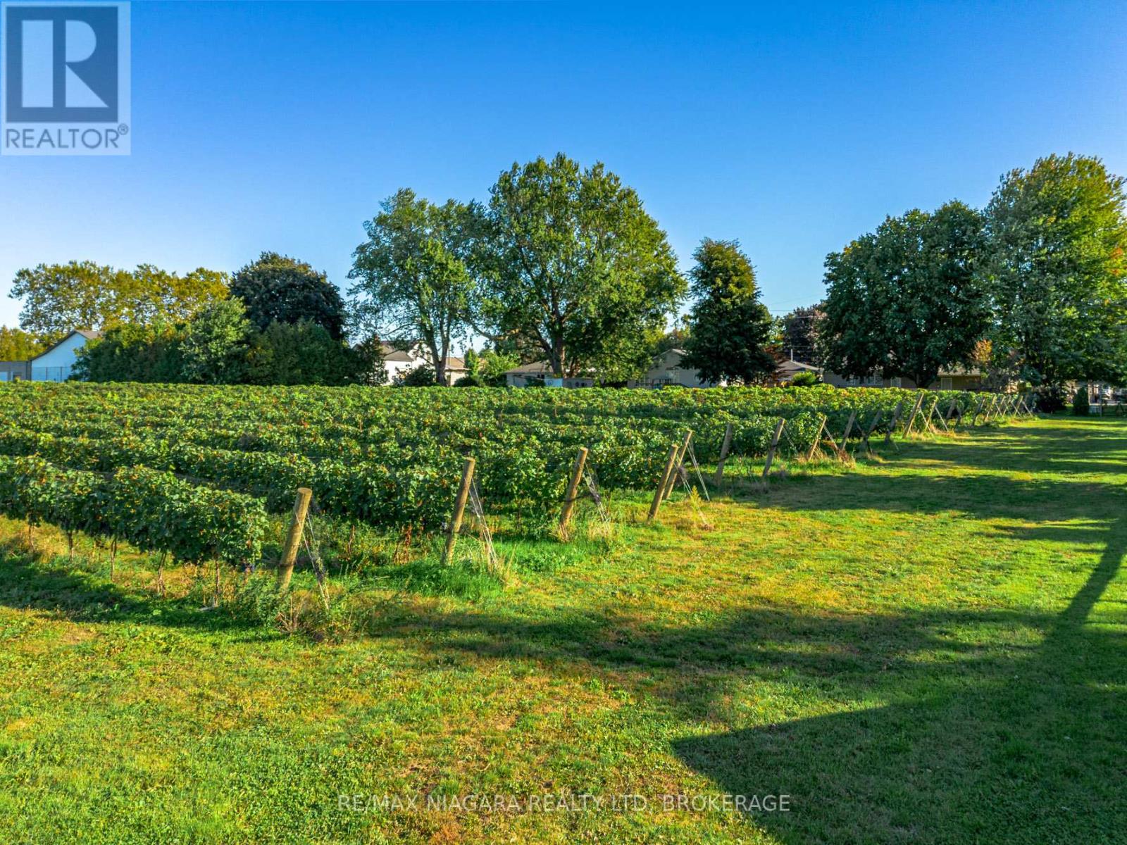 3349 Culp Road, Lincoln, Ontario  L0R 2E0 - Photo 47 - X12441056