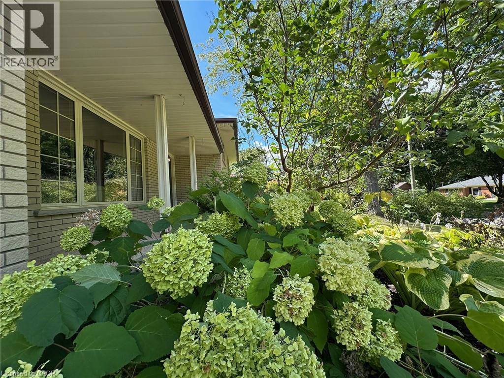 12 Sunset Drive, Simcoe, Ontario  N3Y 3G3 - Photo 37 - 40764770