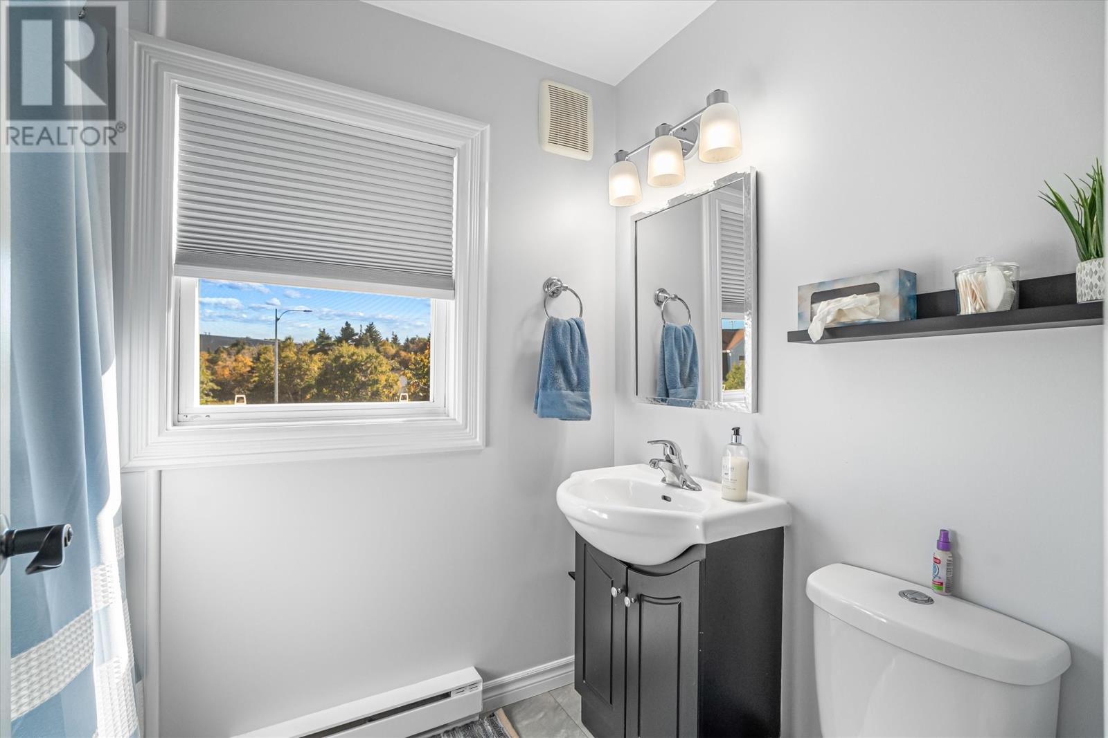 6 White Place, Mount Pearl, Newfoundland & Labrador  A1N 2T1 - Photo 18 - 1292179