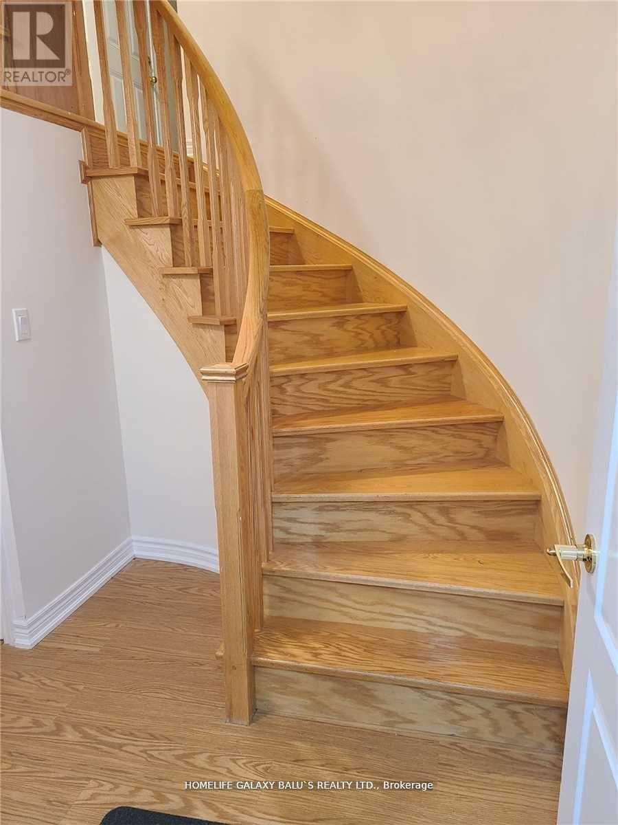 (Basement) - 4 Malborough Road, Markham, Ontario  L6B 0E9 - Photo 2 - N12496454