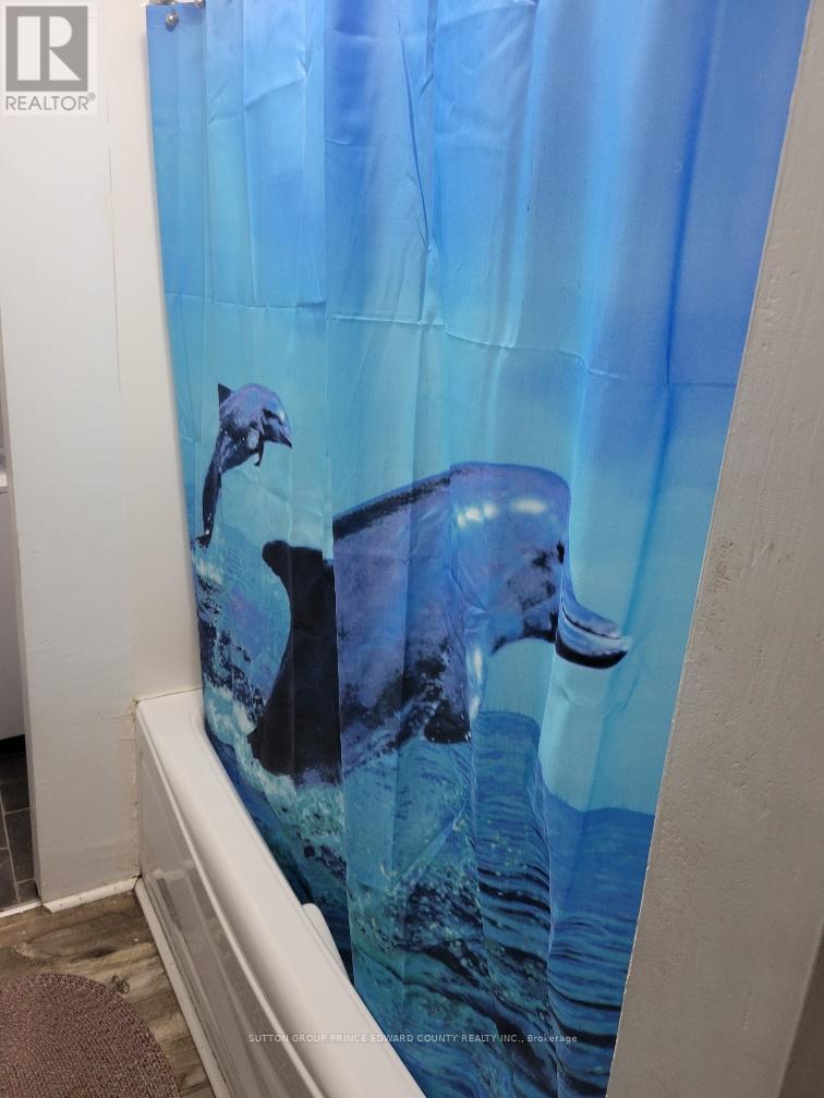 11 Low Street, Prince Edward County (Picton Ward), Ontario  K0K 2T0 - Photo 27 - X12496534