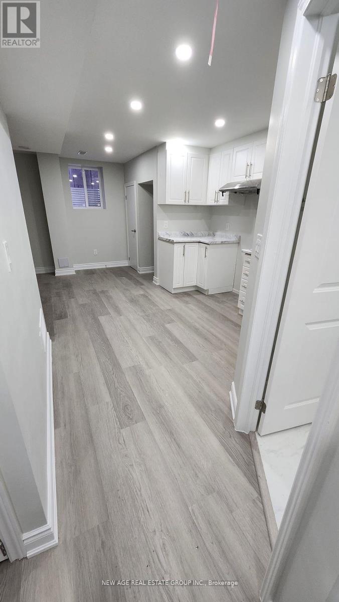 Basement - 43 Stewardship Road, Brampton, Ontario  L7A 0G1 - Photo 9 - W12496260