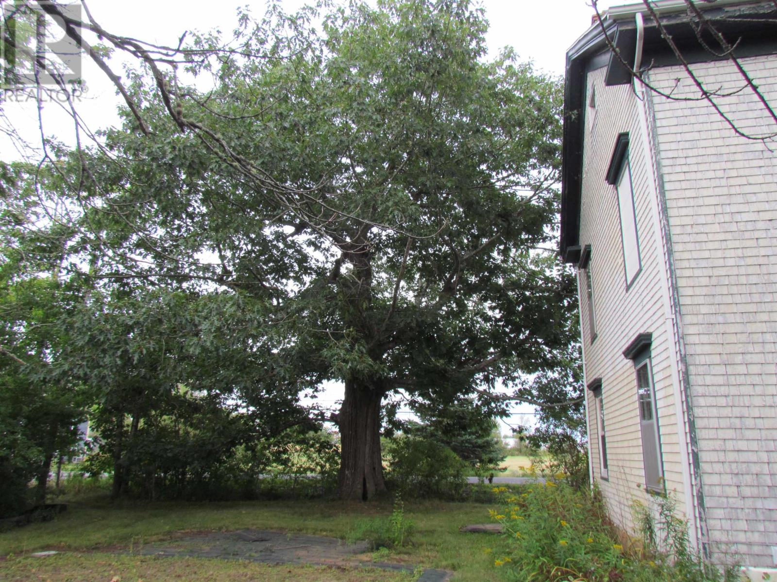 8894 Highway 215, Maitland, Nova Scotia  B0N 1T0 - Photo 14 - 202421588