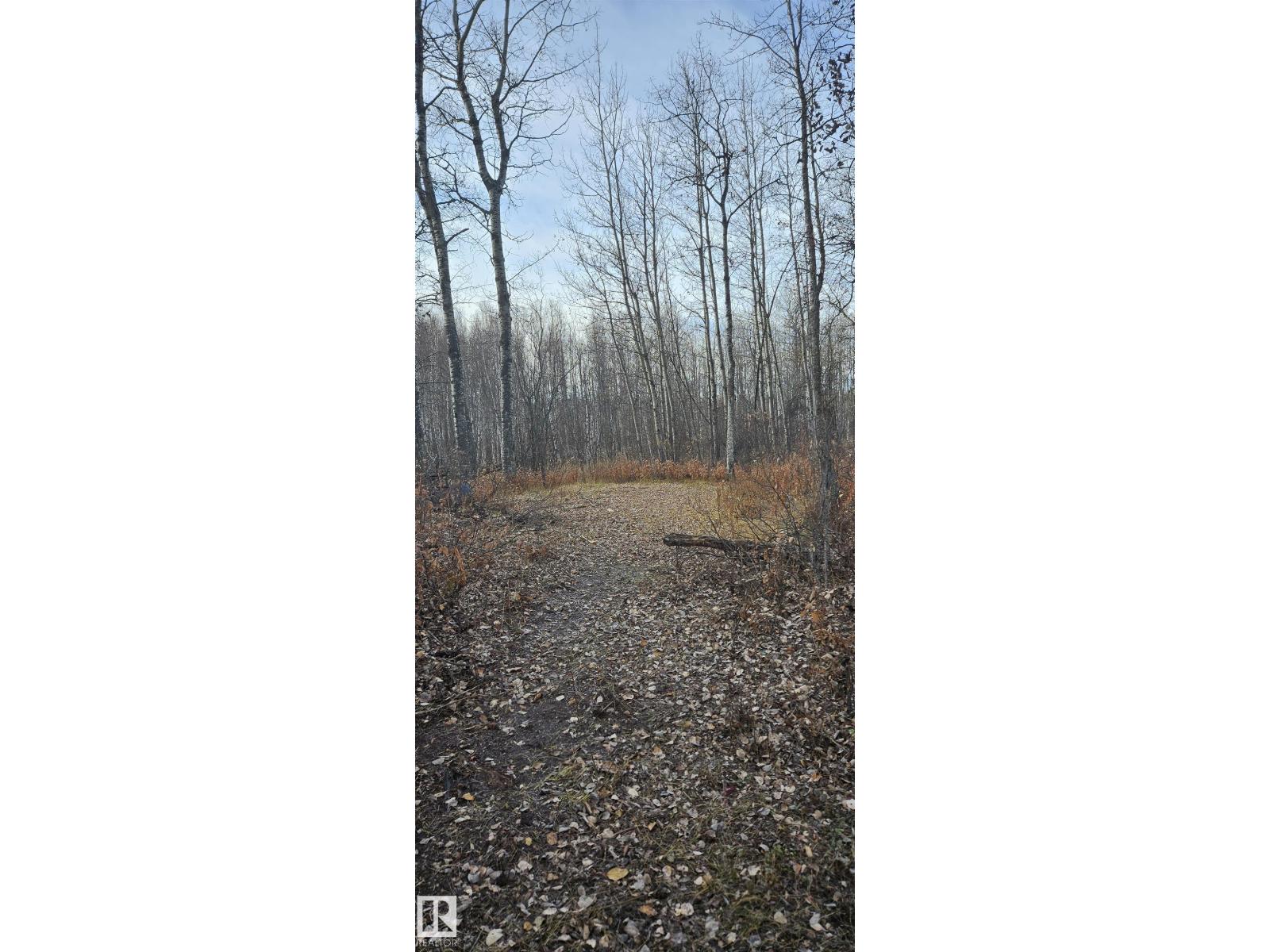 55232 Range Road 34a, Rural Lac Ste. Anne County, Alberta  T0E 1A0 - Photo 8 - E4464230