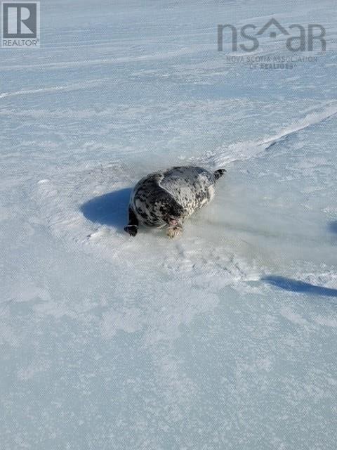 1353 Blue Sea Road, Malagash Point, Nova Scotia  B0K 1E0 - Photo 40 - 202511047