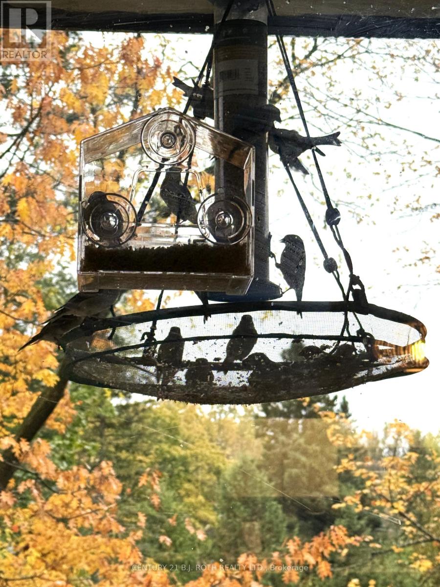 206 - 38 Monck Road, Bracebridge, Ontario  P1L 1P4 - Photo 23 - X12479641