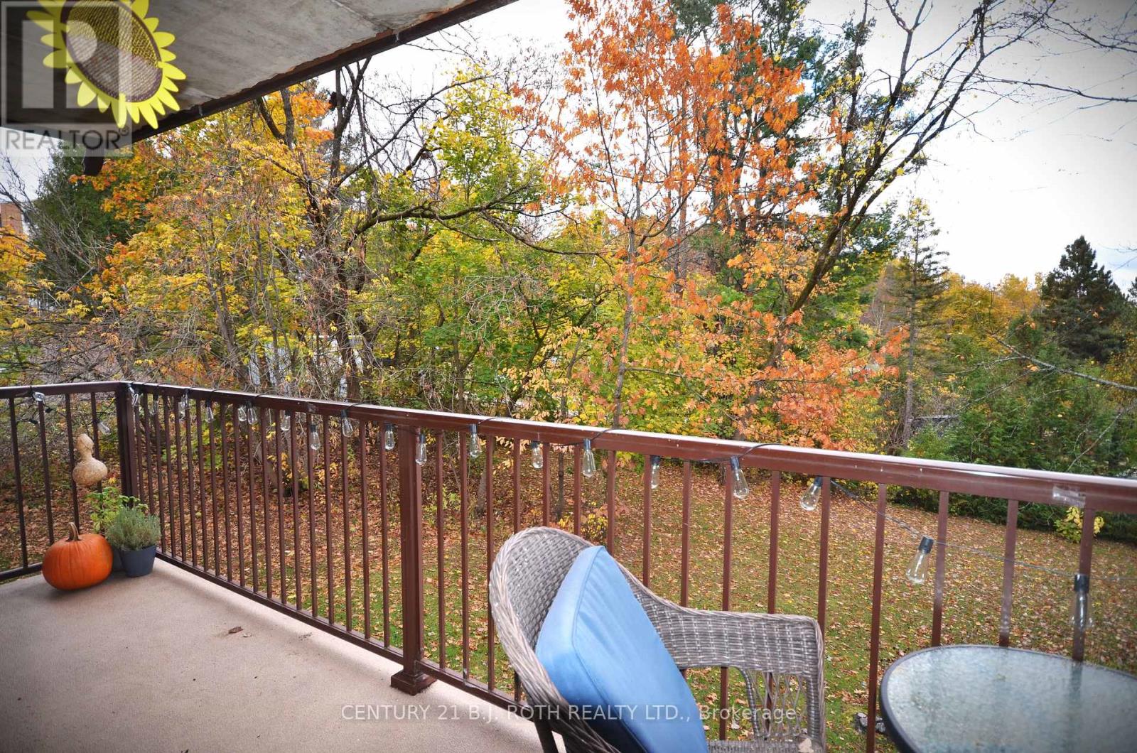 206 - 38 Monck Road, Bracebridge, Ontario  P1L 1P4 - Photo 8 - X12479641