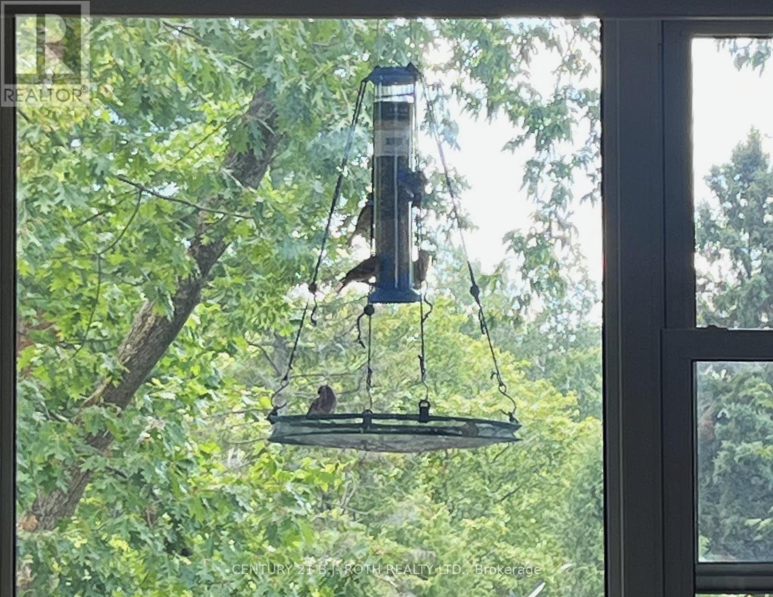 206 - 38 Monck Road, Bracebridge, Ontario  P1L 1P4 - Photo 22 - X12479641