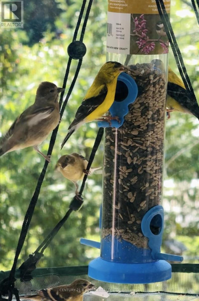 206 - 38 Monck Road, Bracebridge, Ontario  P1L 1P4 - Photo 24 - X12479641