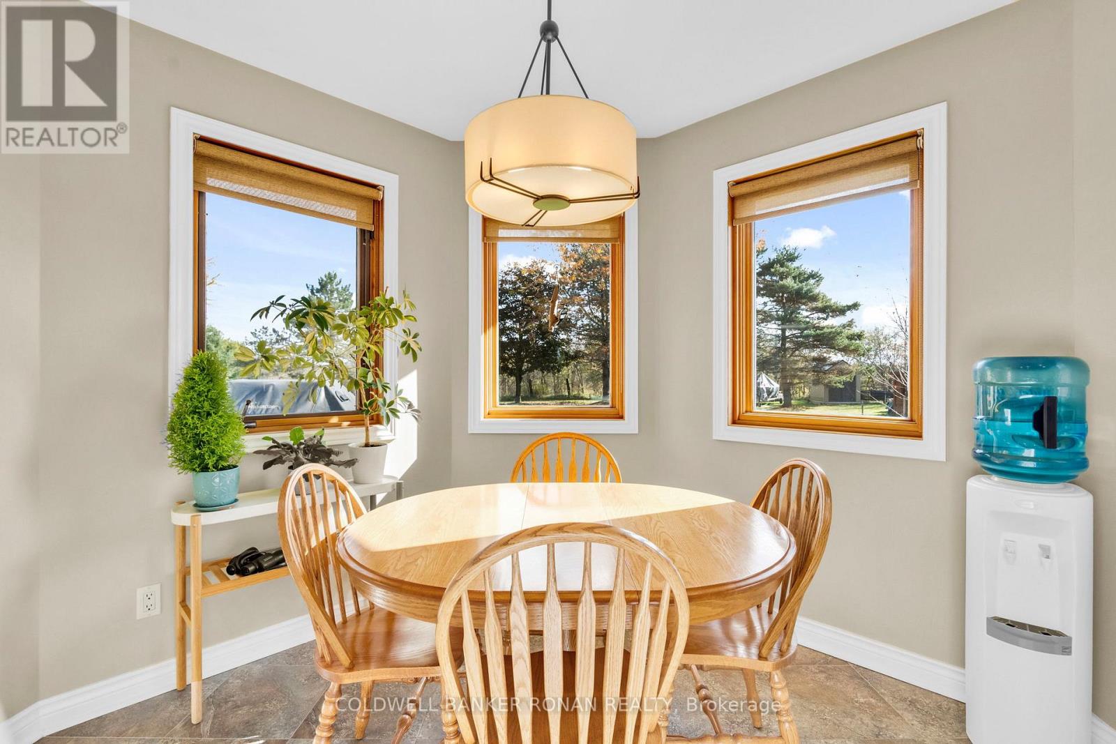 9 Mccague Court, New Tecumseth, Ontario  L0G 1W0 - Photo 15 - N12496764