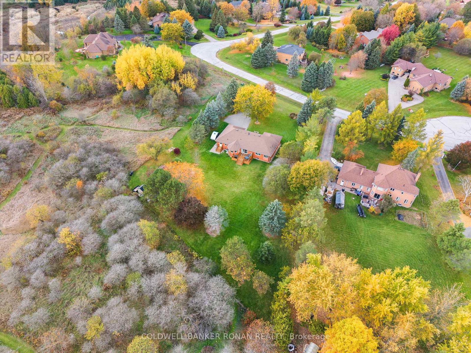 9 Mccague Court, New Tecumseth, Ontario  L0G 1W0 - Photo 45 - N12496764