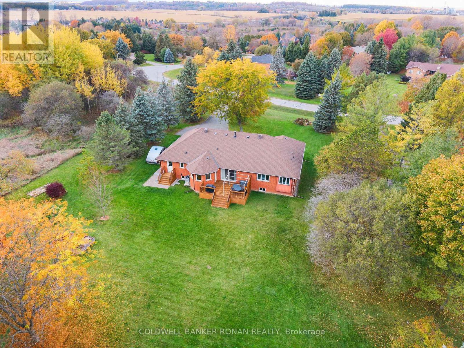 9 Mccague Court, New Tecumseth, Ontario  L0G 1W0 - Photo 46 - N12496764