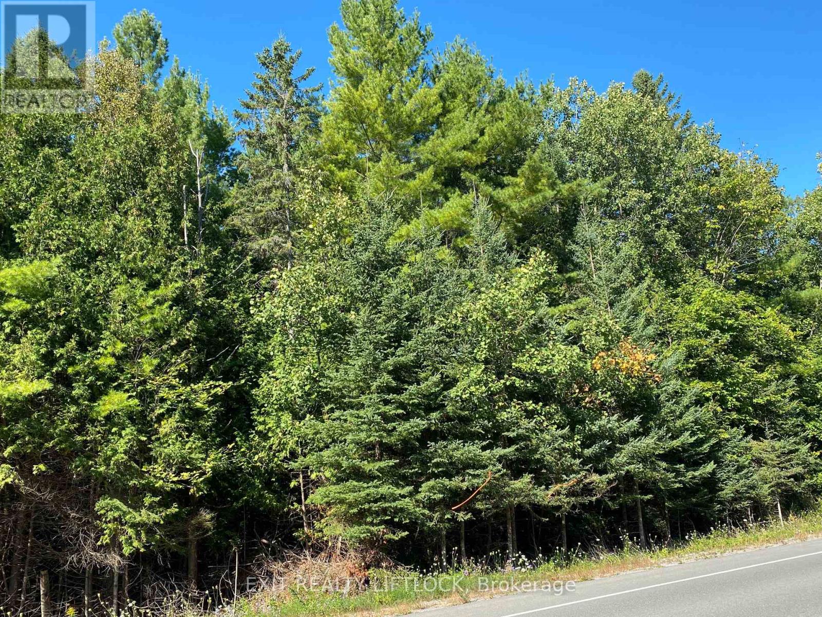 590 County Rd 40, Douro-Dummer, Ontario K0L 2V0 - Photo 4 - X12496888