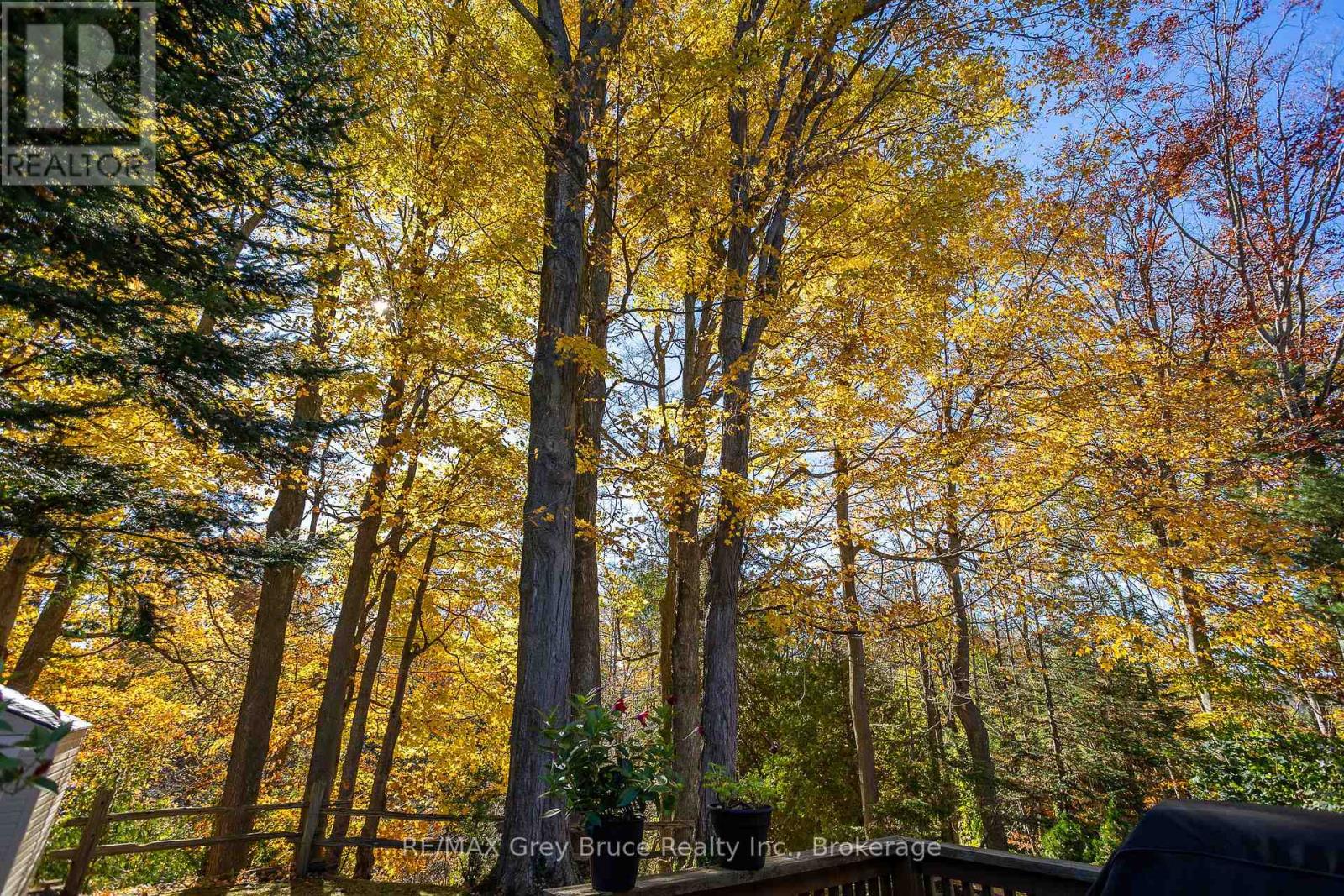 242 6th Avenue E, Owen Sound, Ontario  N4K 2T3 - Photo 42 - X12496874