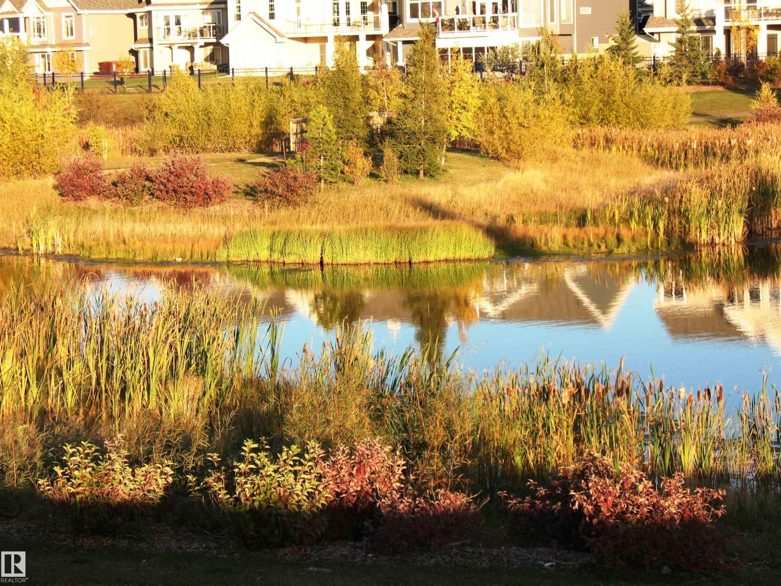 2223 76 St Sw, Edmonton, Alberta  T6X 0Z3 - Photo 61 - E4464240