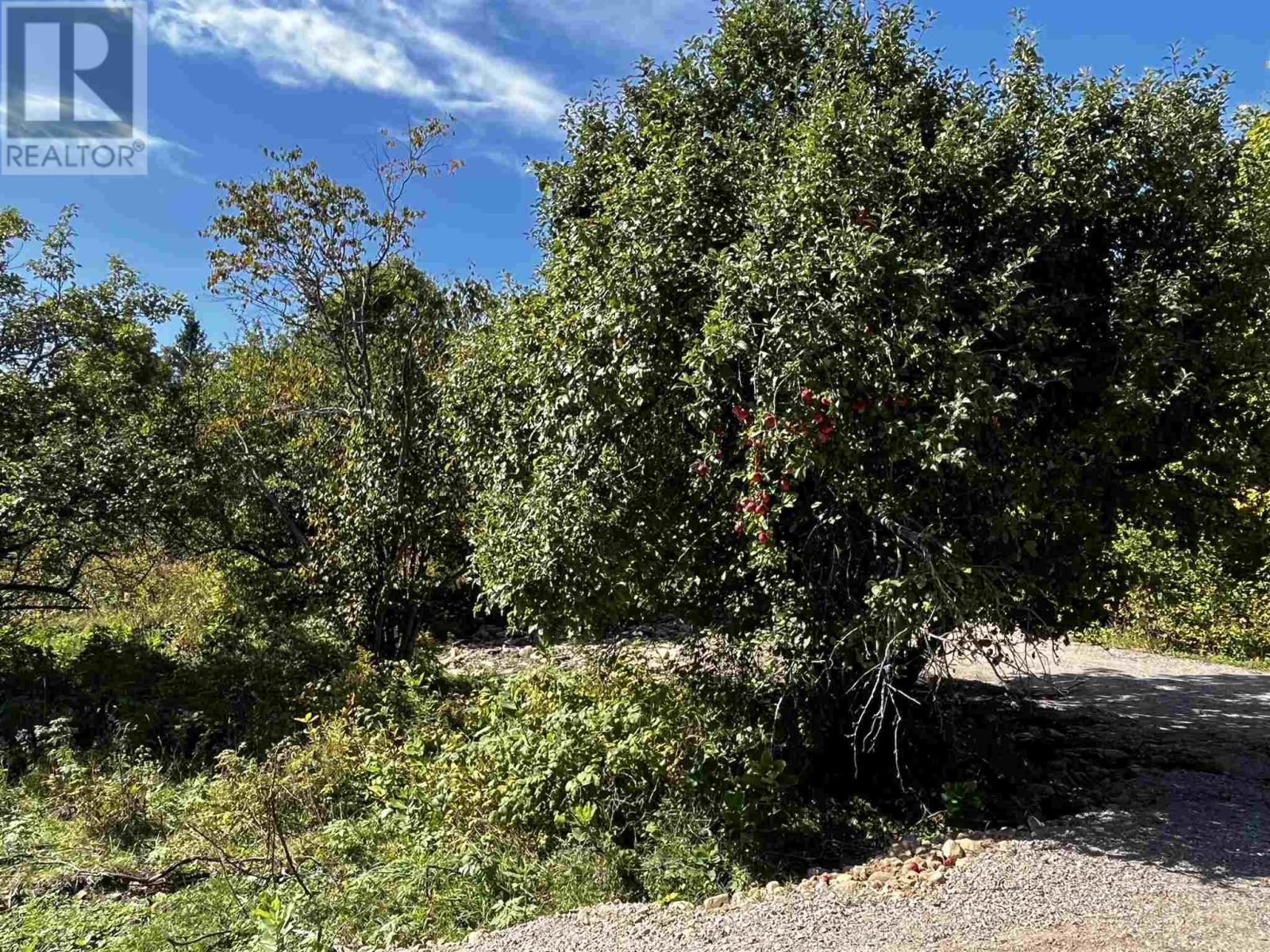 2331 D Line Rd, Richards Landing, Ontario  P0R 1J0 - Photo 8 - SM253025