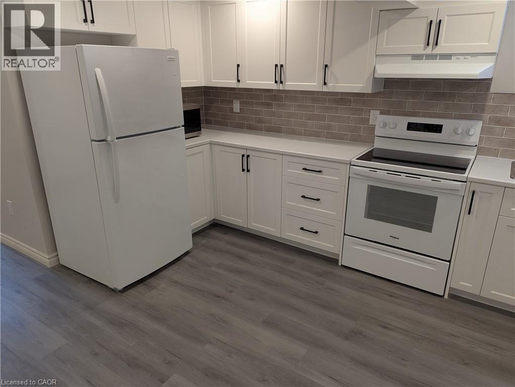 919 Marl Meadow Court Unit# Lower, Kitchener, Ontario  N2R 1L4 - Photo 3 - 40784687